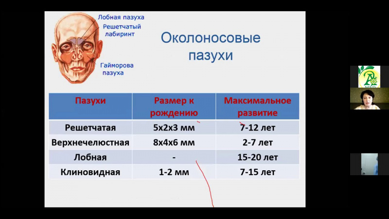Профилактика и лечение ОРИ у часто болеющих детей